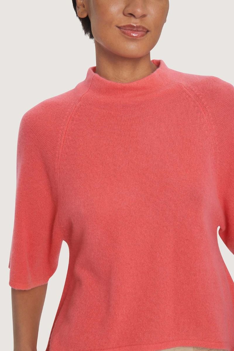 Cloud cashmere rollkragenpullover