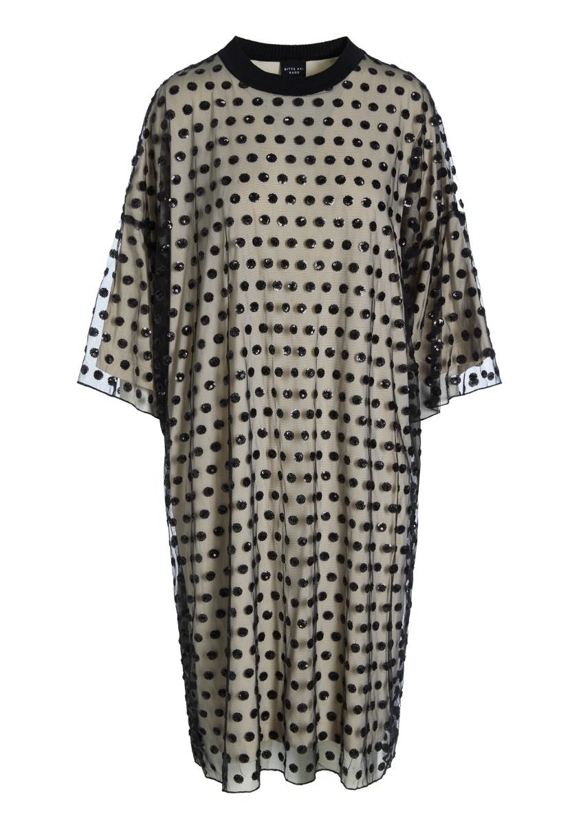 Embroidery mesh dress